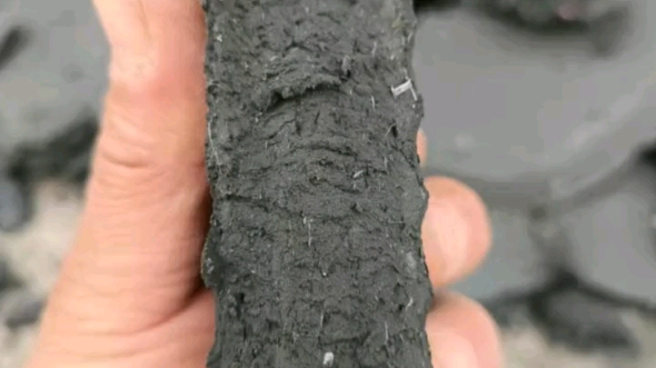 污泥處理與資源化解決方案 設備、技術與市場應用